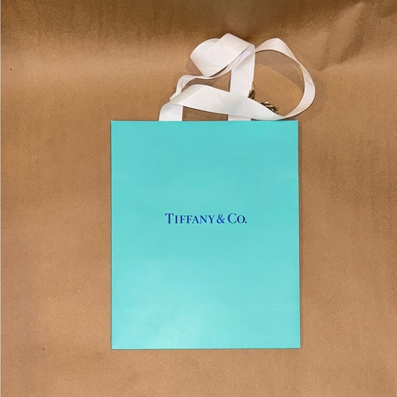 New TIFFANY&Co. Jean Schlumberger Bird-on-a-Rock charm +giftbag, Japan exclusive - Picture 5 of 11